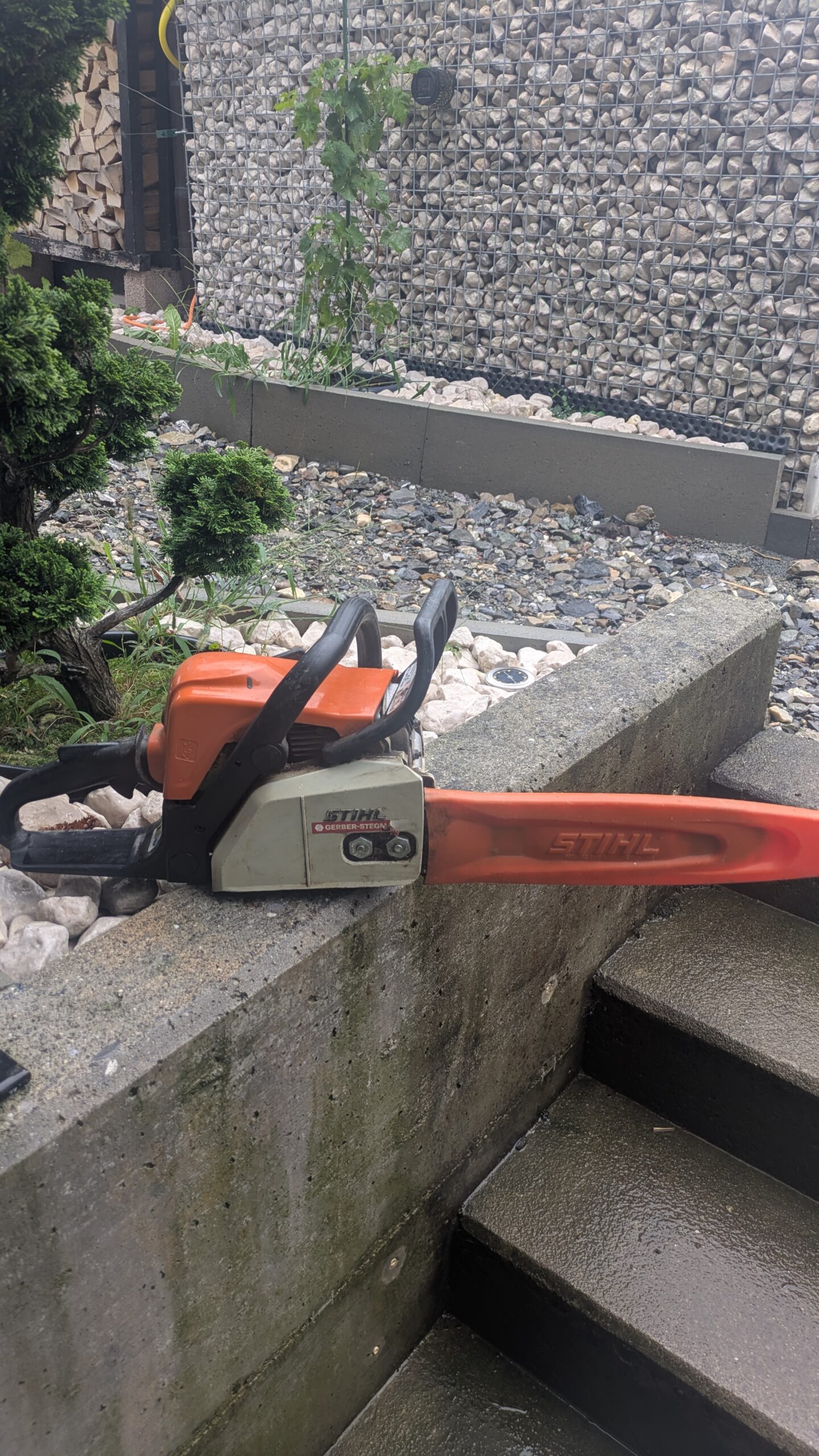 Stihl MS 170 Motorsäge im TEQVAR Langzeittest